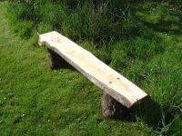  first milled bench (ash on larch)